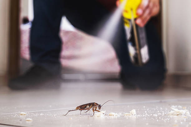 Reeds Spring, MO Pest Control Company